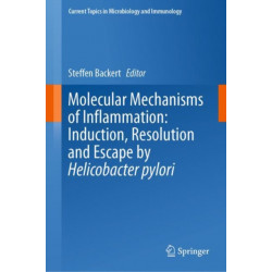Molecular Mechanisms of Inflammation: Induction, Resolution and Escape by Helicobacter pylori