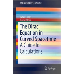 The Dirac Equation in Curved Spacetime: A Guide for Calculations