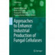 Approaches to Enhance Industrial Production of Fungal Cellulases