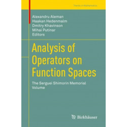 Analysis of Operators on Function Spaces: The Serguei Shimorin Memorial Volume