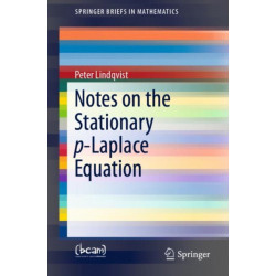 Notes on the Stationary p-Laplace Equation