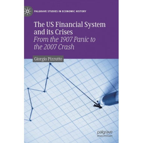 The US Financial System and its Crises: From the 1907 Panic to the 2007 Crash