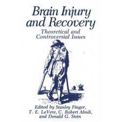 Brain Injury and Recovery: Theoretical and Controversial Issues
