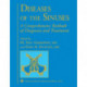 Diseases of the Sinuses: A Comprehensive Textbook of Diagnosis and Treatment