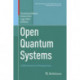Open Quantum Systems: A Mathematical Perspective