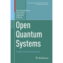 Open Quantum Systems: A Mathematical Perspective