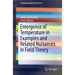 Emergence of Temperature in Examples and Related Nuisances in Field Theory