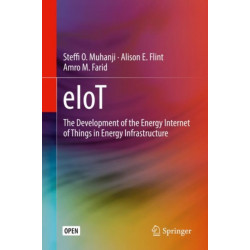 eIoT: The Development of the Energy Internet of Things in Energy Infrastructure