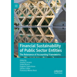 Financial Sustainability of Public Sector Entities: The Relevance of Accounting Frameworks