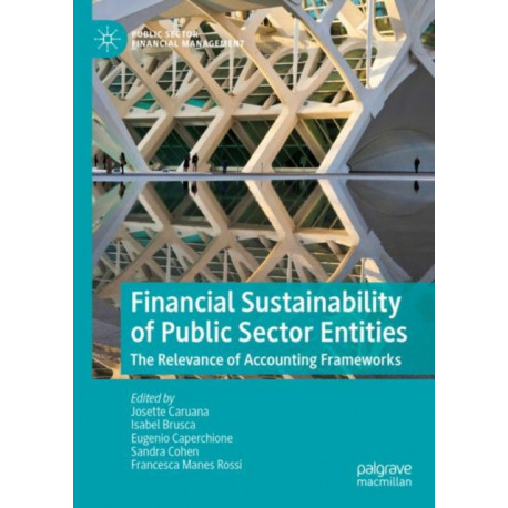 Financial Sustainability of Public Sector Entities: The Relevance of Accounting Frameworks