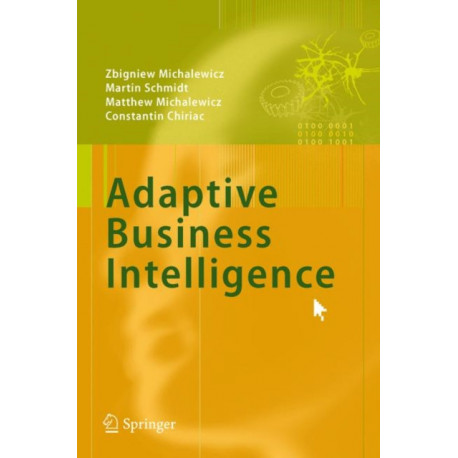 Adaptive Business Intelligence