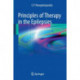 Principles of Therapy in the Epilepsies