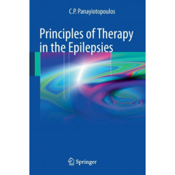 Principles of Therapy in the Epilepsies