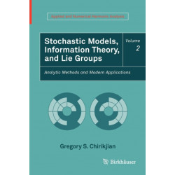 Stochastic Models, Information Theory, and Lie Groups, Volume 2: Analytic Methods and Modern Applications