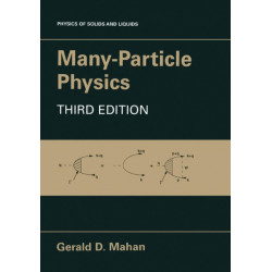 Many-Particle Physics