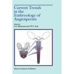 Current Trends in the Embryology of Angiosperms