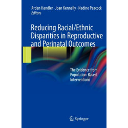 Reducing Racial/Ethnic Disparities in Reproductive and Perinatal Outcomes: The Evidence from Population-Based Interventions