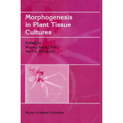 Morphogenesis in Plant Tissue Cultures