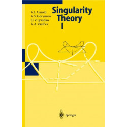 Singularity Theory I