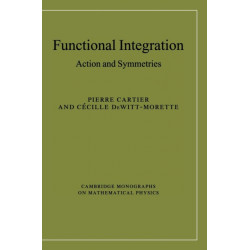 Functional Integration: Action and Symmetries