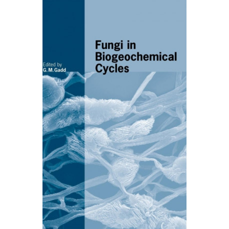 Fungi in Biogeochemical Cycles