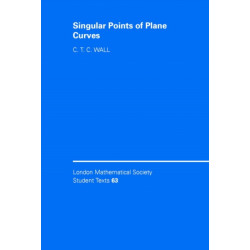 Singular Points of Plane Curves
