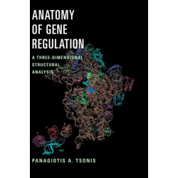 Anatomy of Gene Regulation: A Three-Dimensional Structural Analysis
