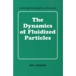 The Dynamics of Fluidized Particles