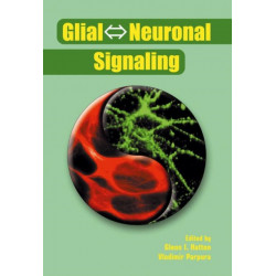 Glial ? Neuronal Signaling