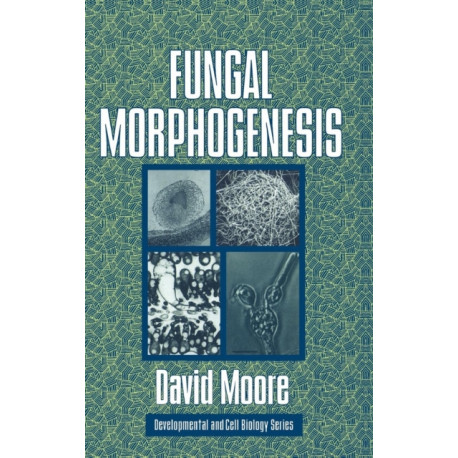 Fungal Morphogenesis