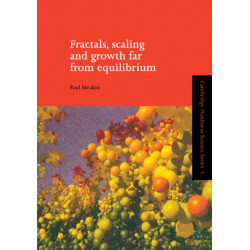 Fractals, Scaling and Growth Far from Equilibrium
