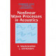 Nonlinear Wave Processes in Acoustics