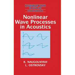 Nonlinear Wave Processes in Acoustics