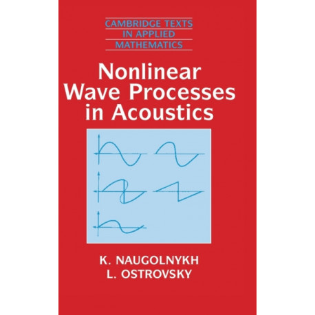 Nonlinear Wave Processes in Acoustics