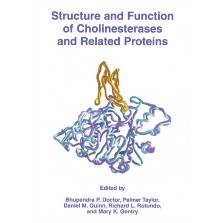 Structure and Function of Cholinesterases and Related Proteins