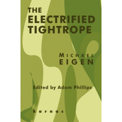 The Electrified Tightrope