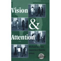 Vision and Attention