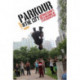 Parkour and the City: Risk, Masculinity, and Meaning in a Postmodern Sport