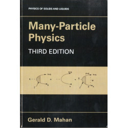 Many-Particle Physics
