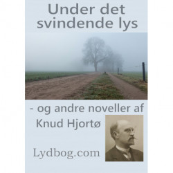Under det svindende lys - og andre noveller