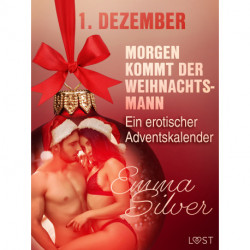 1.tDezember: Morgen kommt der Weihnachtsmann – ein erotischer Adventskalender