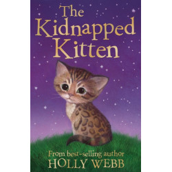 The The Kidnapped Kitten