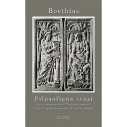 Filosofiens trøst og det anonyme skrift Theoderiks historie