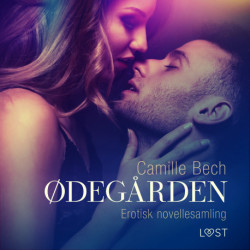 Ødegården – erotisk novellesamling