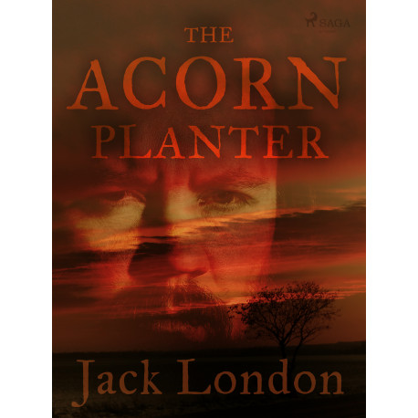 The Acorn Planter