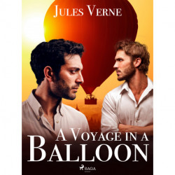 A Voyage in a Balloon