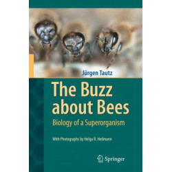 The Buzz about Bees: Biology of a Superorganism
