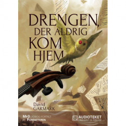 Drengen, der aldrig kom hjem