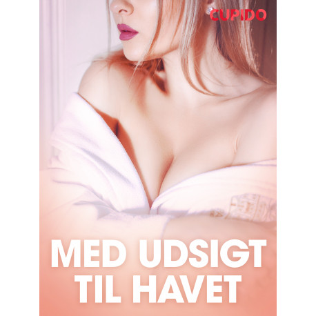 Med udsigt til havet - erotiske noveller