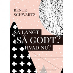 Så langt - Så godt? Hvad nu?